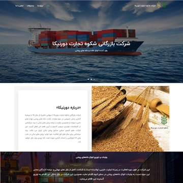 طراحی سایت شرکت دورنیکا